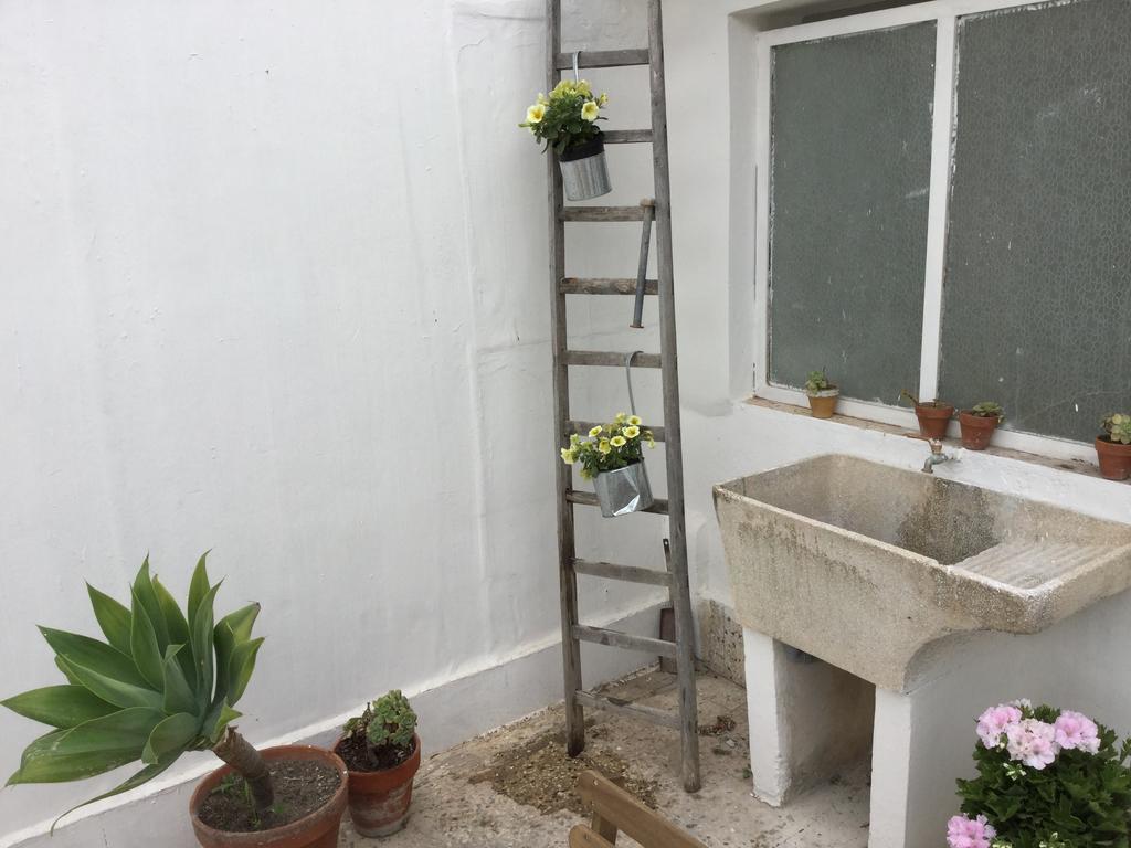فيلا نوتوفي Case Vacanze Le Rose المظهر الخارجي الصورة