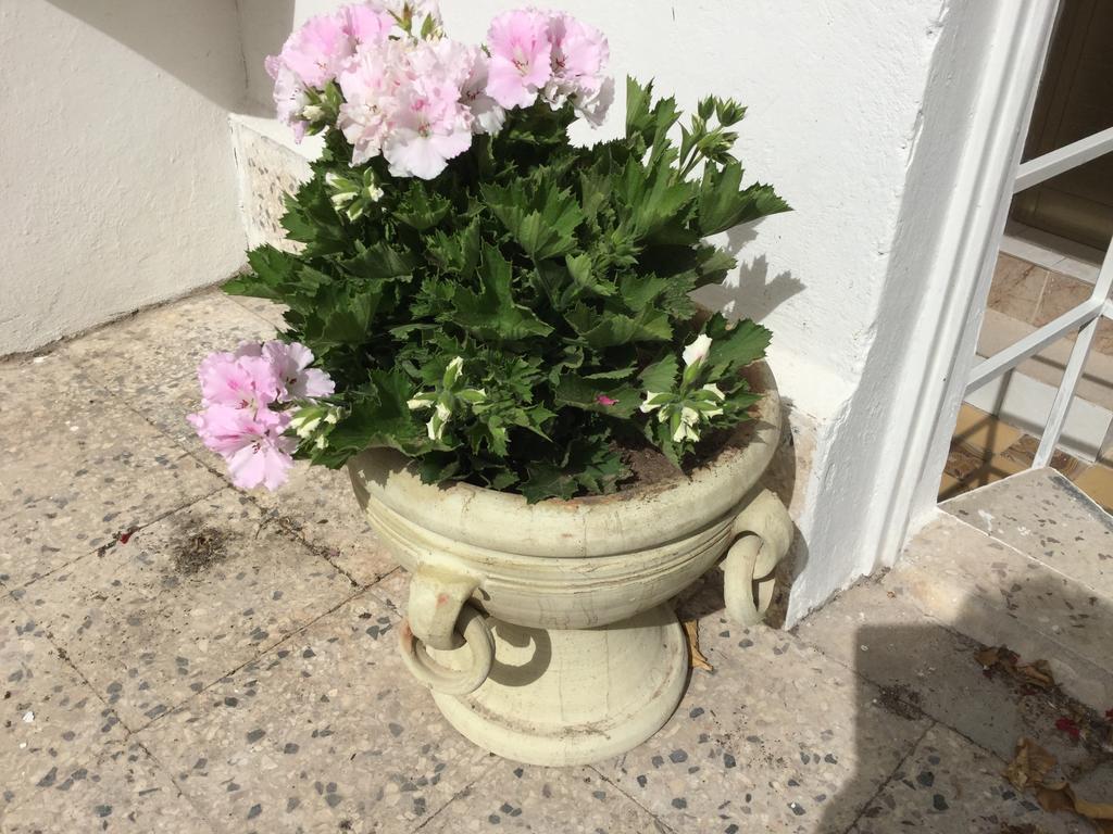 فيلا نوتوفي Case Vacanze Le Rose المظهر الخارجي الصورة