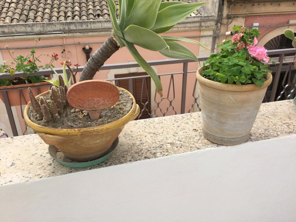 فيلا نوتوفي Case Vacanze Le Rose المظهر الخارجي الصورة